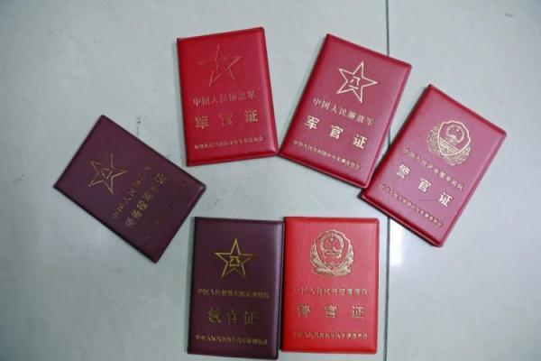 俄罗斯太阳集团是一个什么集团